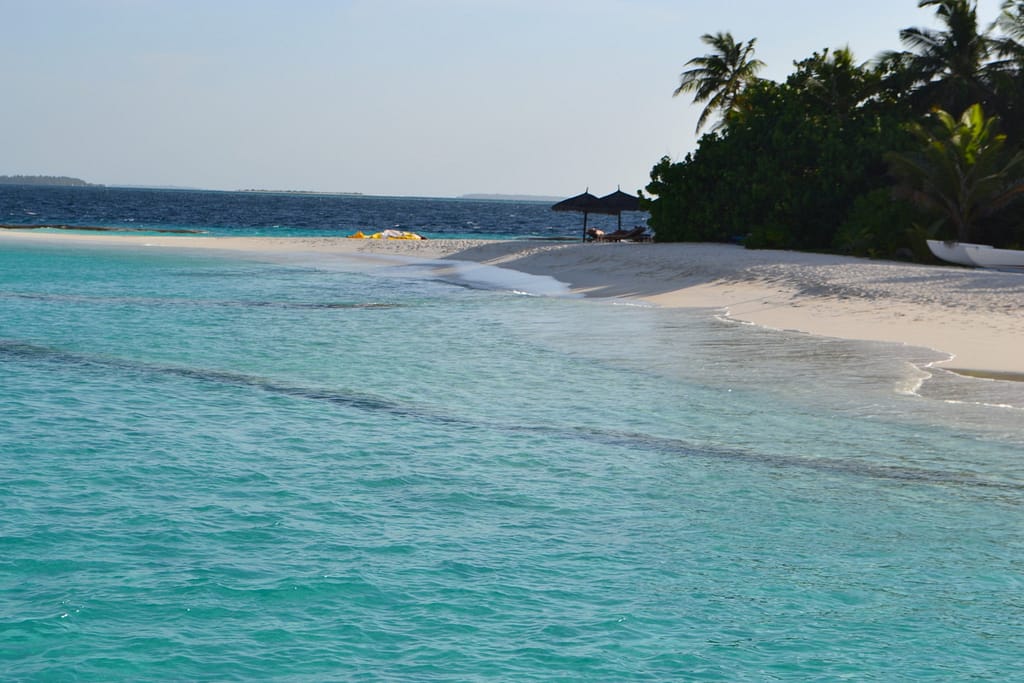 Reethi