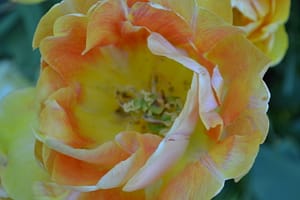 095