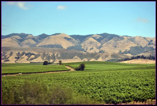 6422357149_bce8d6d62e_o