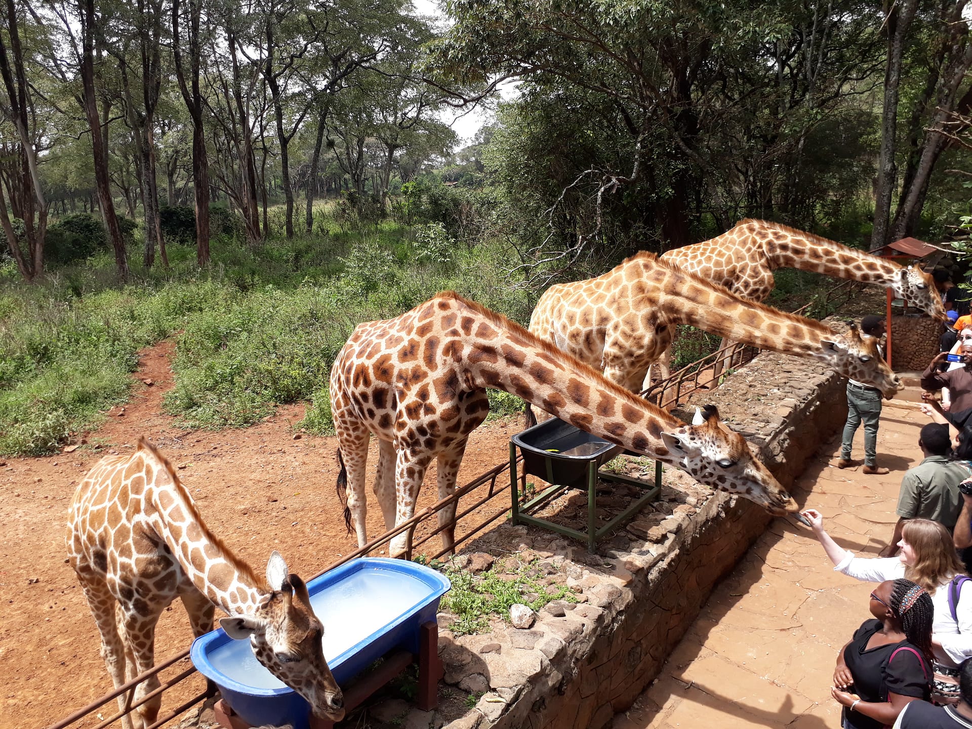 Africa Safariland Tours